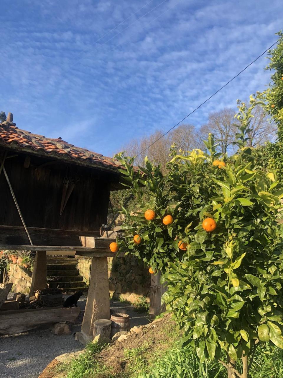 Casa Rural Trebol4Hojas San Pedro  외부 사진