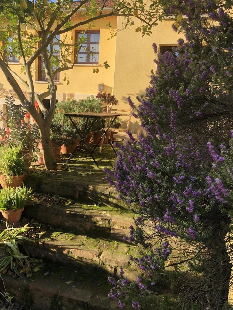 Casa Rural Trebol4Hojas San Pedro  외부 사진