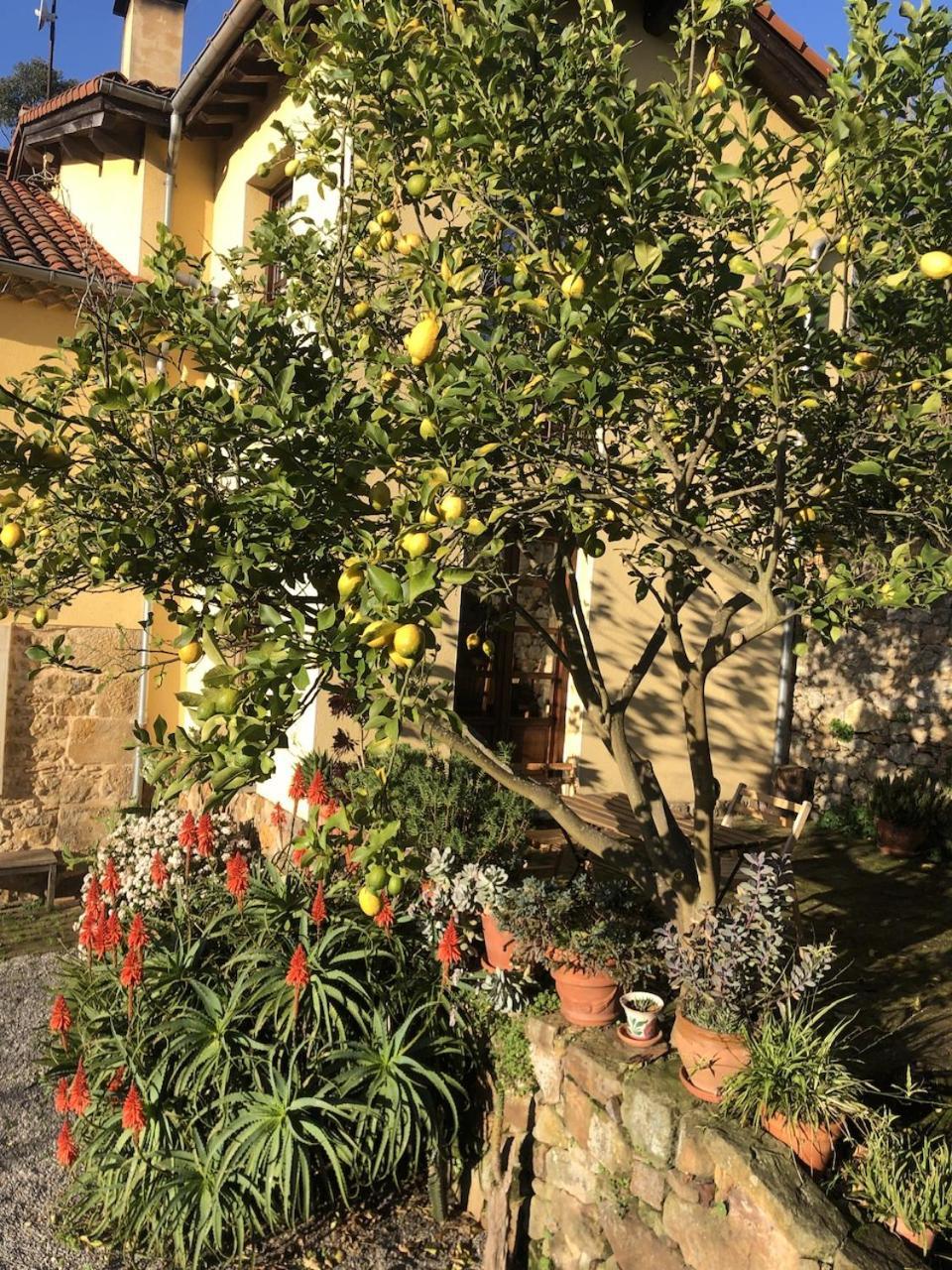 Casa Rural Trebol4Hojas San Pedro  외부 사진
